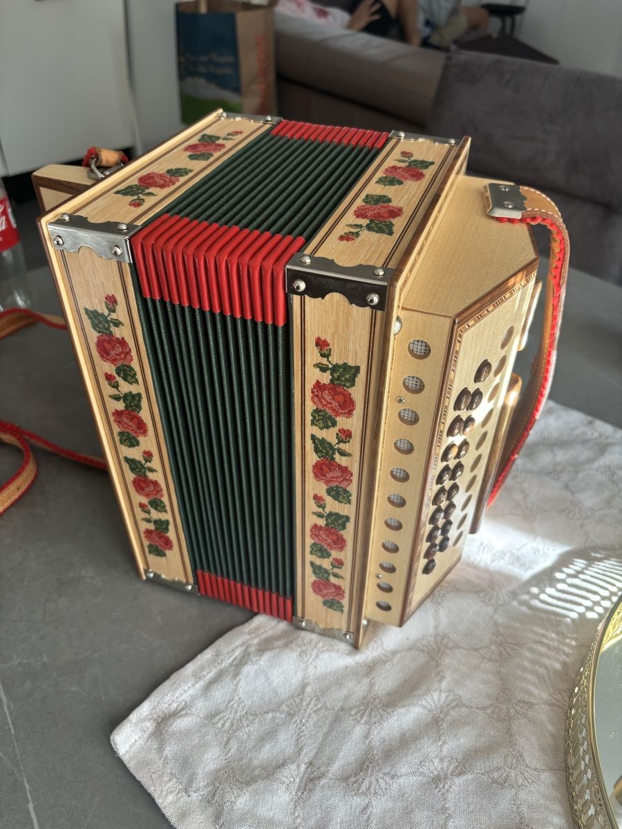 Strumenti musicali: Schönes Schwyzerörgeli B – Usato da Horw venduto da Oergeli0074 7