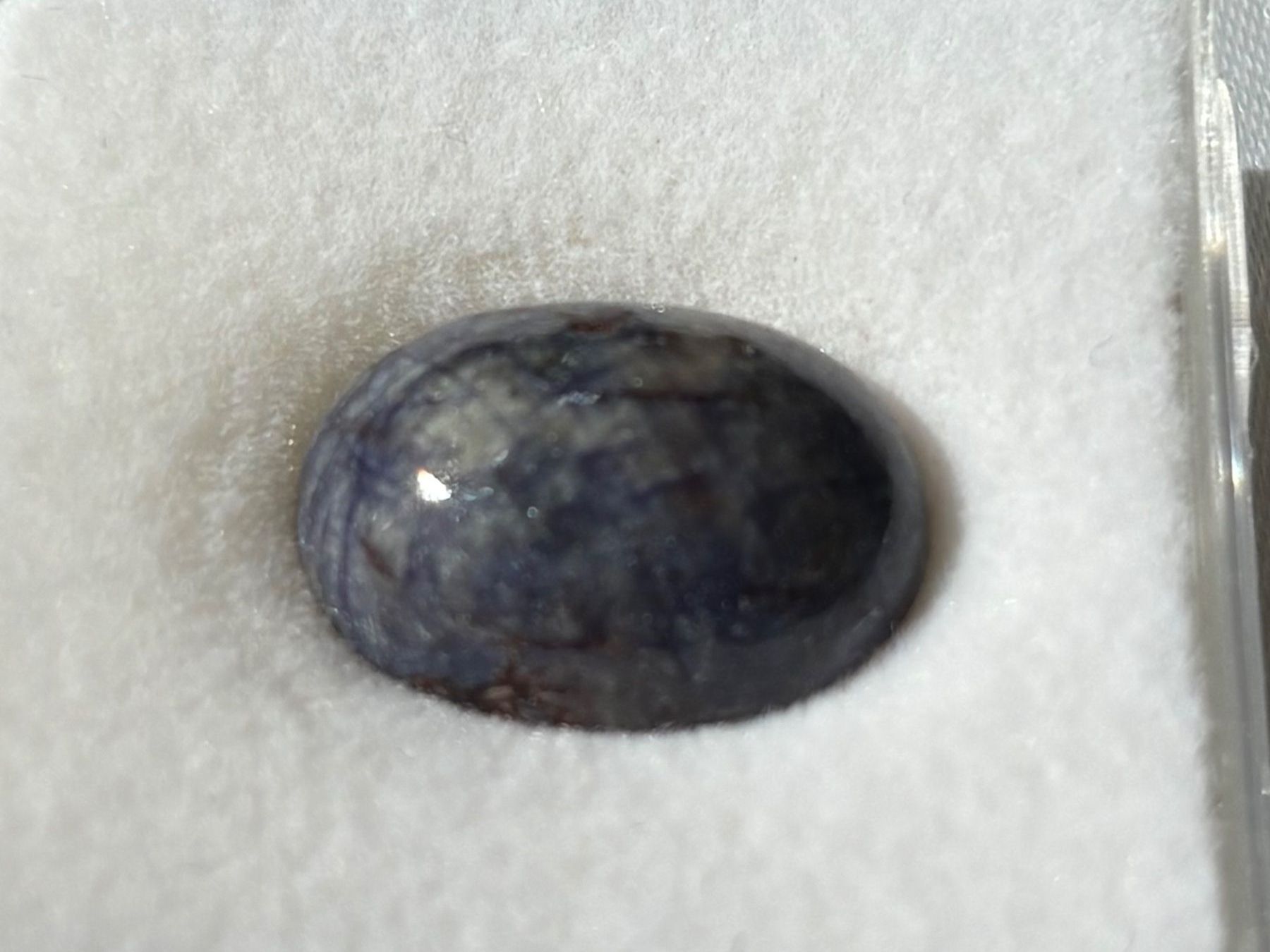 Pietre preziose: Saphir in Muttergestein 14 ct. – Usato da Brugg AG venduto da lau_9rvy 2