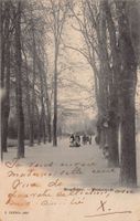 Neuchâtel, Promenade, animée, circulée 1900