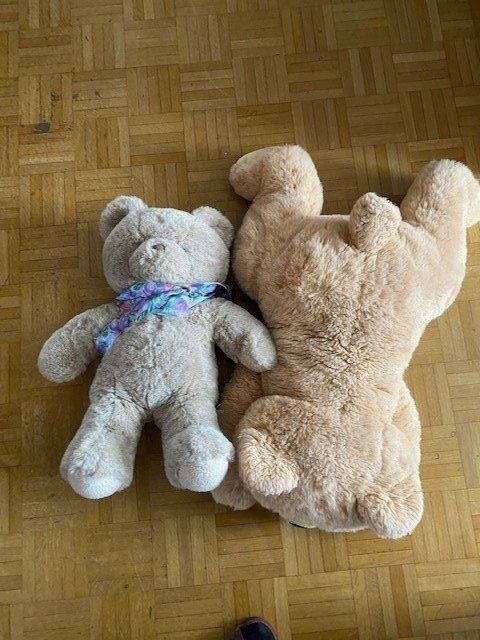 Giocattoli: Plüschteddys gross – Usato da Emmen venduto da Aribini 1