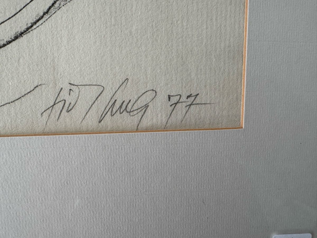 Foto & Immagini: Fritz Hug, Original, Bleistiftzeichnung, Gorilla – Usato da Safenwil venduto da Corahund 3