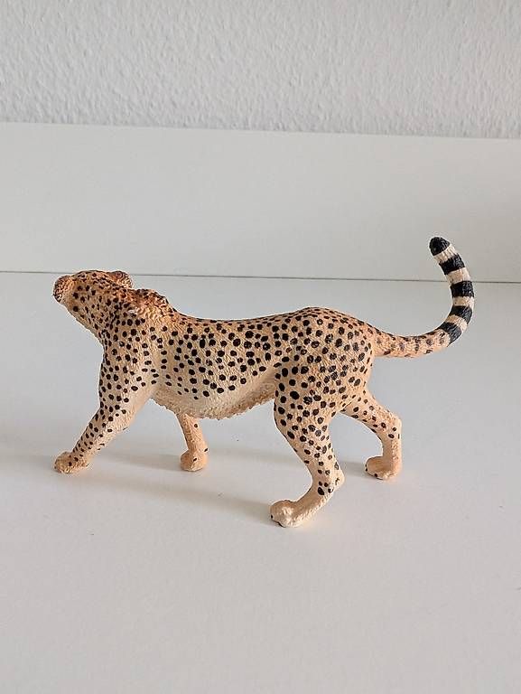 Figuren: Schleich Gepard – Gebraucht aus Wangen b. Olten von kim_x9zn 1
