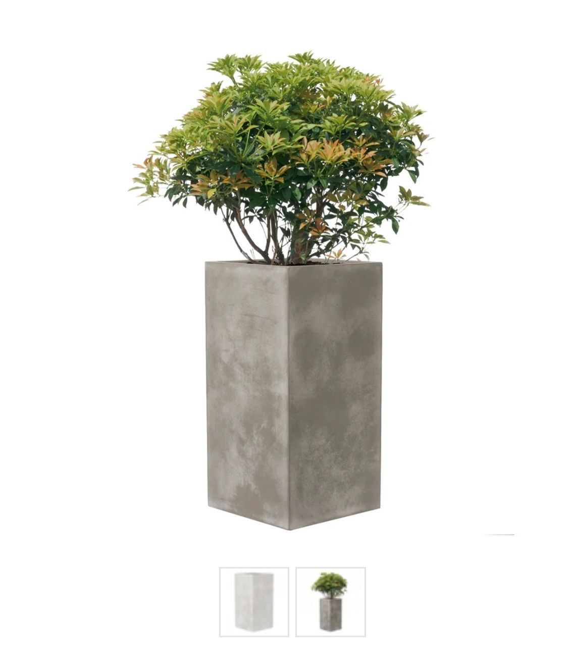 Blumentöpfe: Gartentopf PURELINE von KIRSCHKE – Gebraucht aus Zürich von Jaskam 1