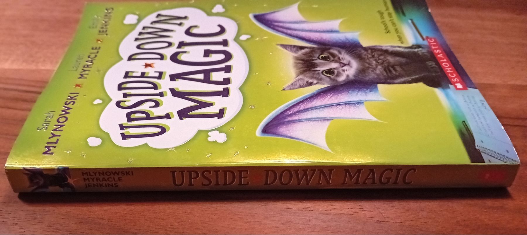 Libri: Upside-Down Magic Jugend Buch Englisch  – Usato da Schindellegi venduto da nin_7njd 2