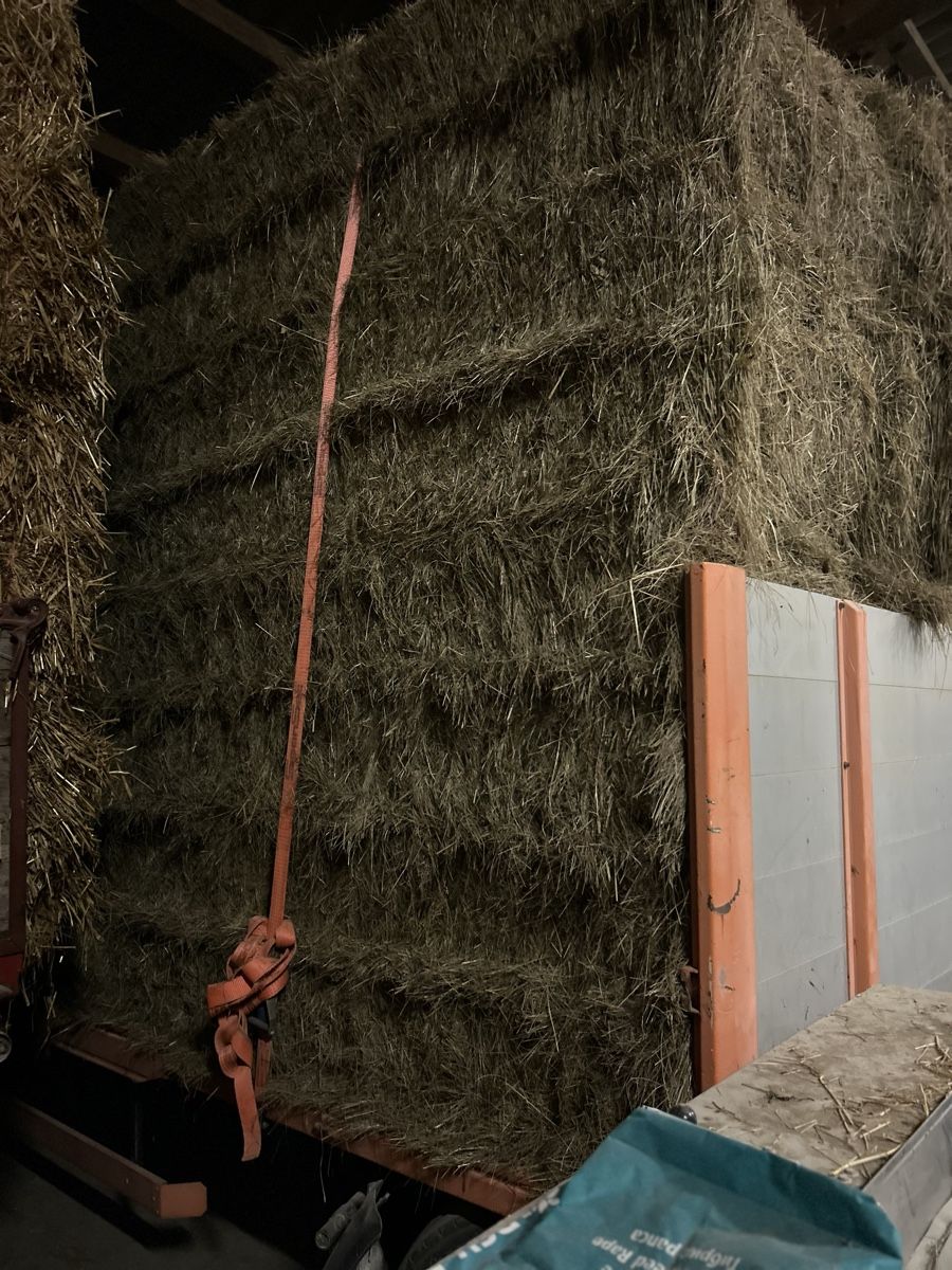 Mangimi: Ökoheu – Nuovo e nell'imballaggio originale da Uhwiesen venduto da pas_r72r