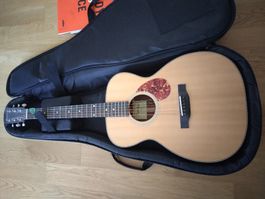 Gitarre Eastman mit Zubehör