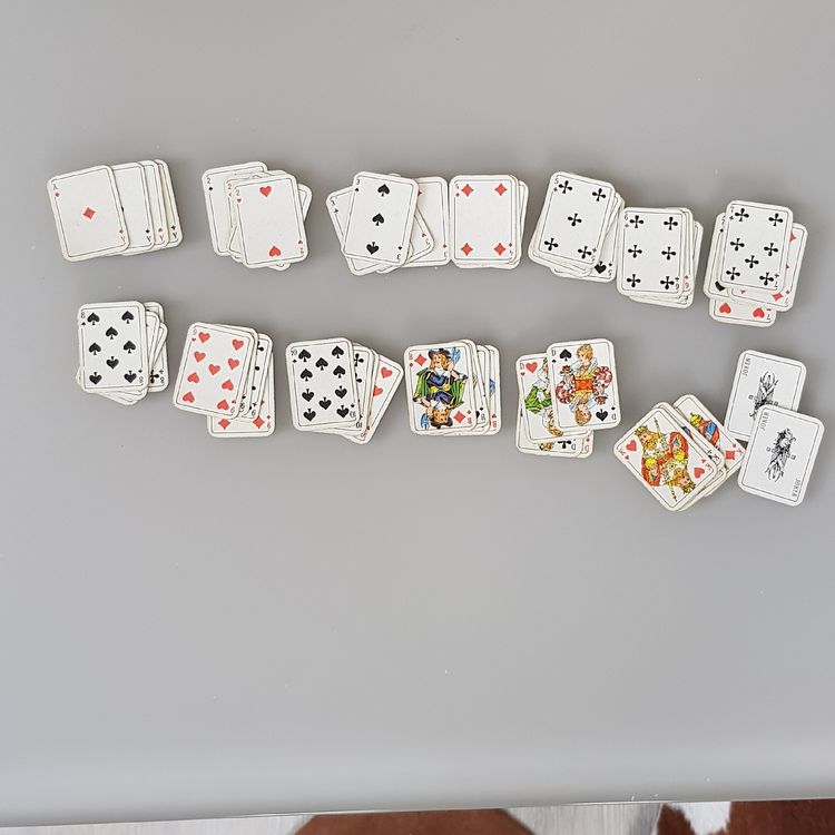 Coffret 2 jeux de cartes radica - Boutique de jeux de cartes