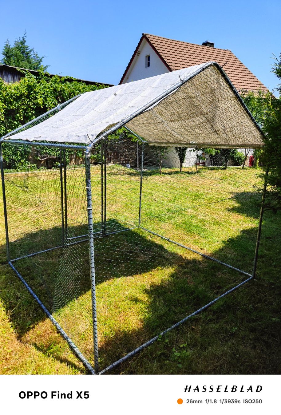 Cages, transport & sécurité: Hühnerstall – D'occasion à Spreitenbach par ego_bb8n 5
