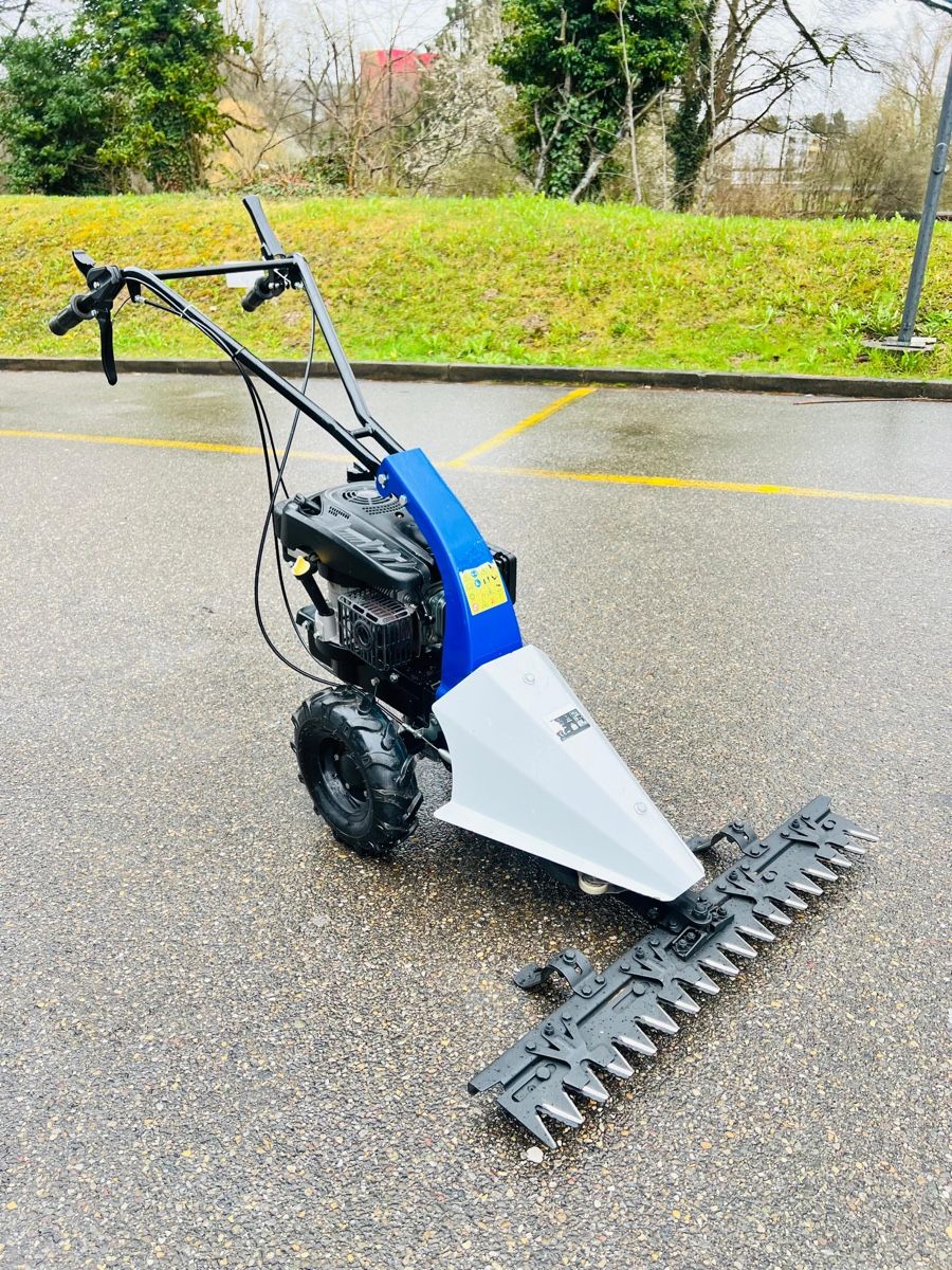 Rasenmäher: Balkenmaher Profi – Gebraucht aus Urdorf von mas_5wfz 6