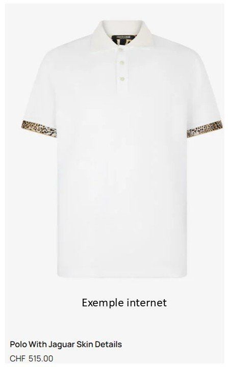 Roberto Cavalli Magliette Polo: Polo ROBERTO CAVALLI CLASS Blanc liseré doré – Usato da Nyon venduto da WHTF 8