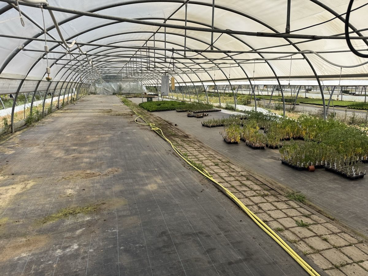 Casette da giardino & serre: Foliengewächshaus – Usato da Düdingen venduto da Gturbo 2