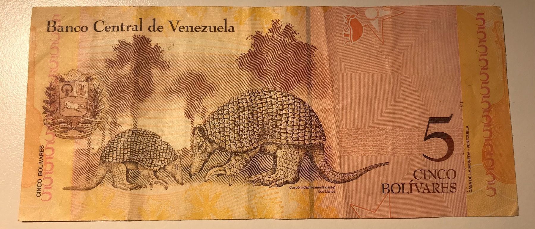Banconote: Venezuela 5 Bolivares 2011 – Usato da Algetshausen venduto da Carrhard 1