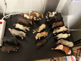 Schleich Horse Figures, Various Breeds, Used Condition