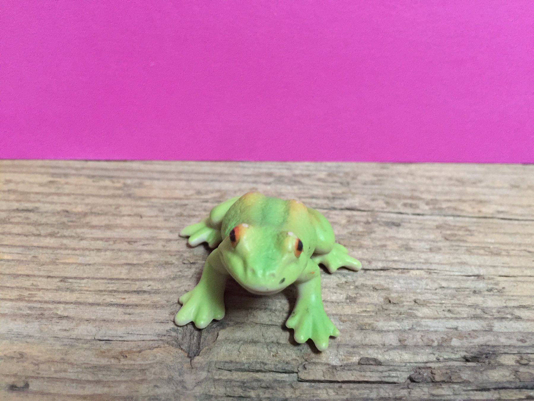 Schleich Statuette: Schleich 14407 Frosch – Usato da Ennetbaden venduto da mapa05 2