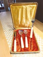 Vintage INOX Käsebesteck Horn original Verpackung Top