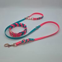 Set Leine und Halsband Biothane