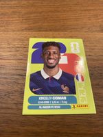 Panini Fra18