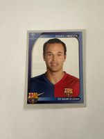 Panini UEFA Champions League 2008-2009 - Nr. 106