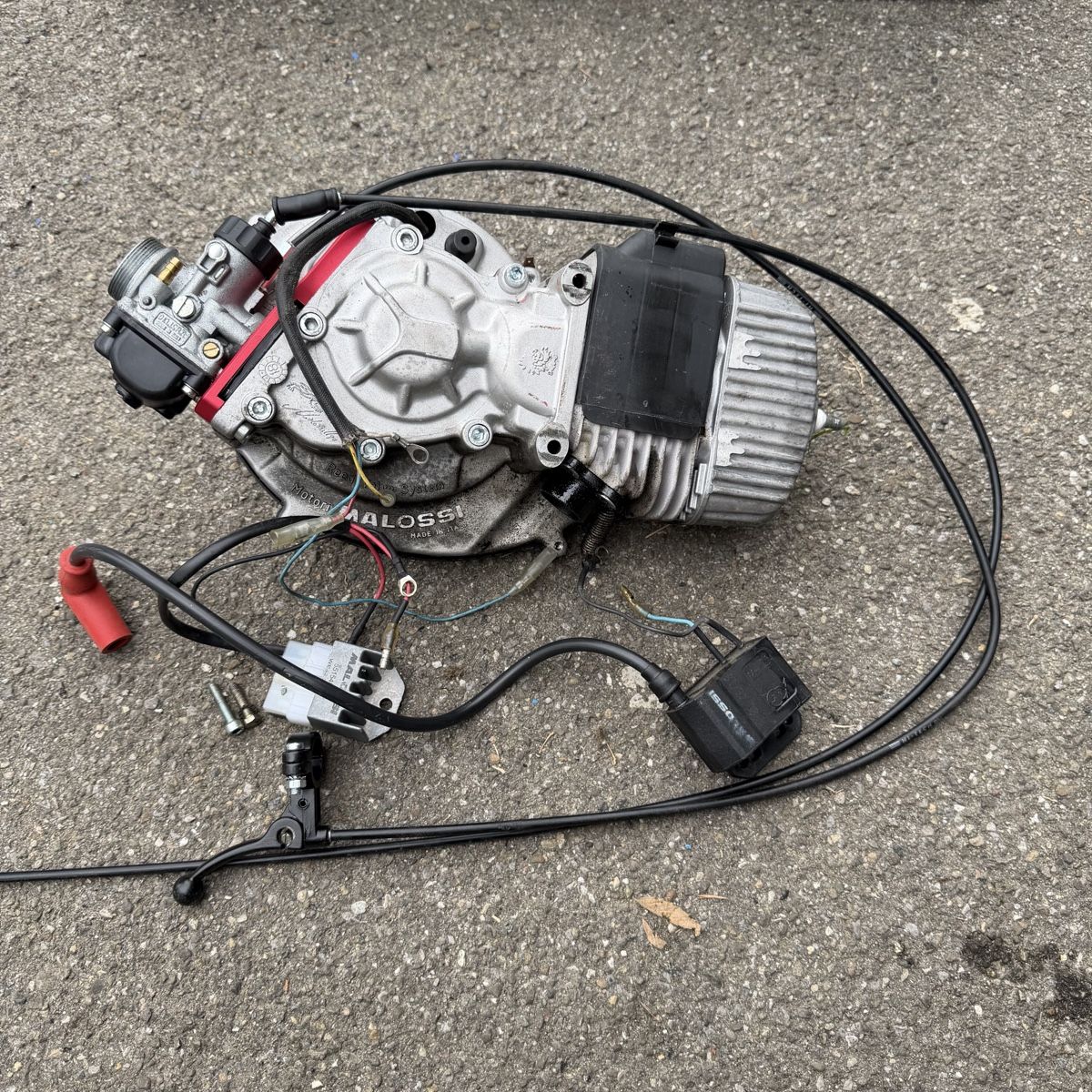 Motori: Piaggio Ciao/Si/Bravo Malossi Motor – Usato da Würenlos venduto da millepini