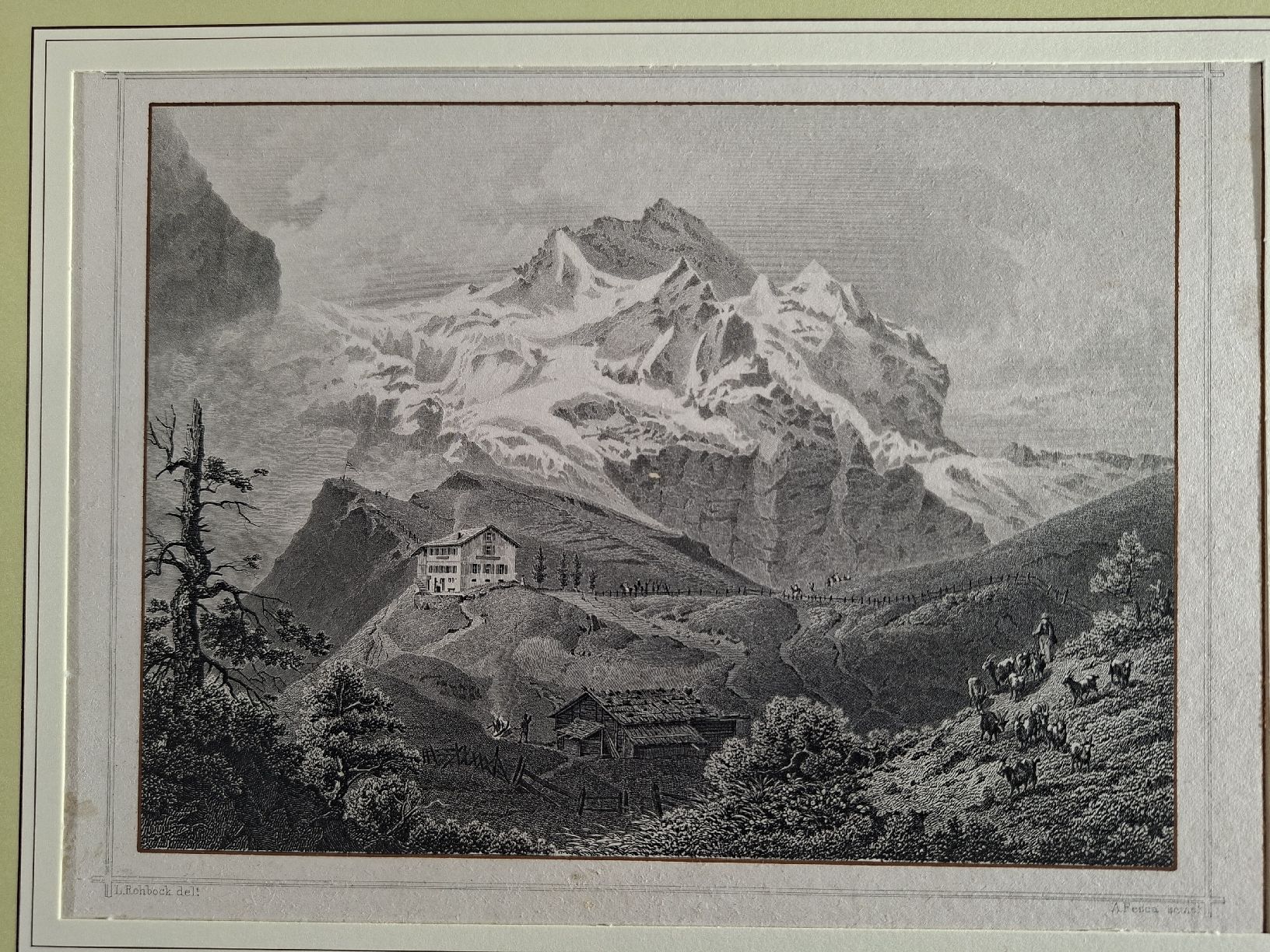 Incisioni: Lot 9  5 Stiche berner Oberland  – Usato da Grindelwald venduto da carro5 3