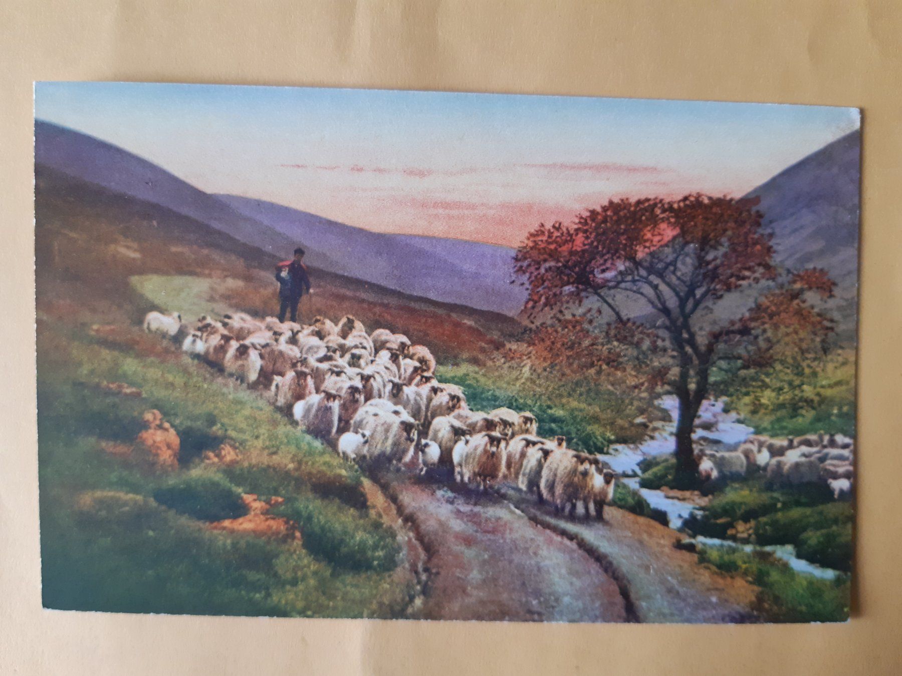 Cartes postales: Vintage Ansichtskarte Schafherde mit Hirte Landschaft – D'occasion à Wattwil par yburgler