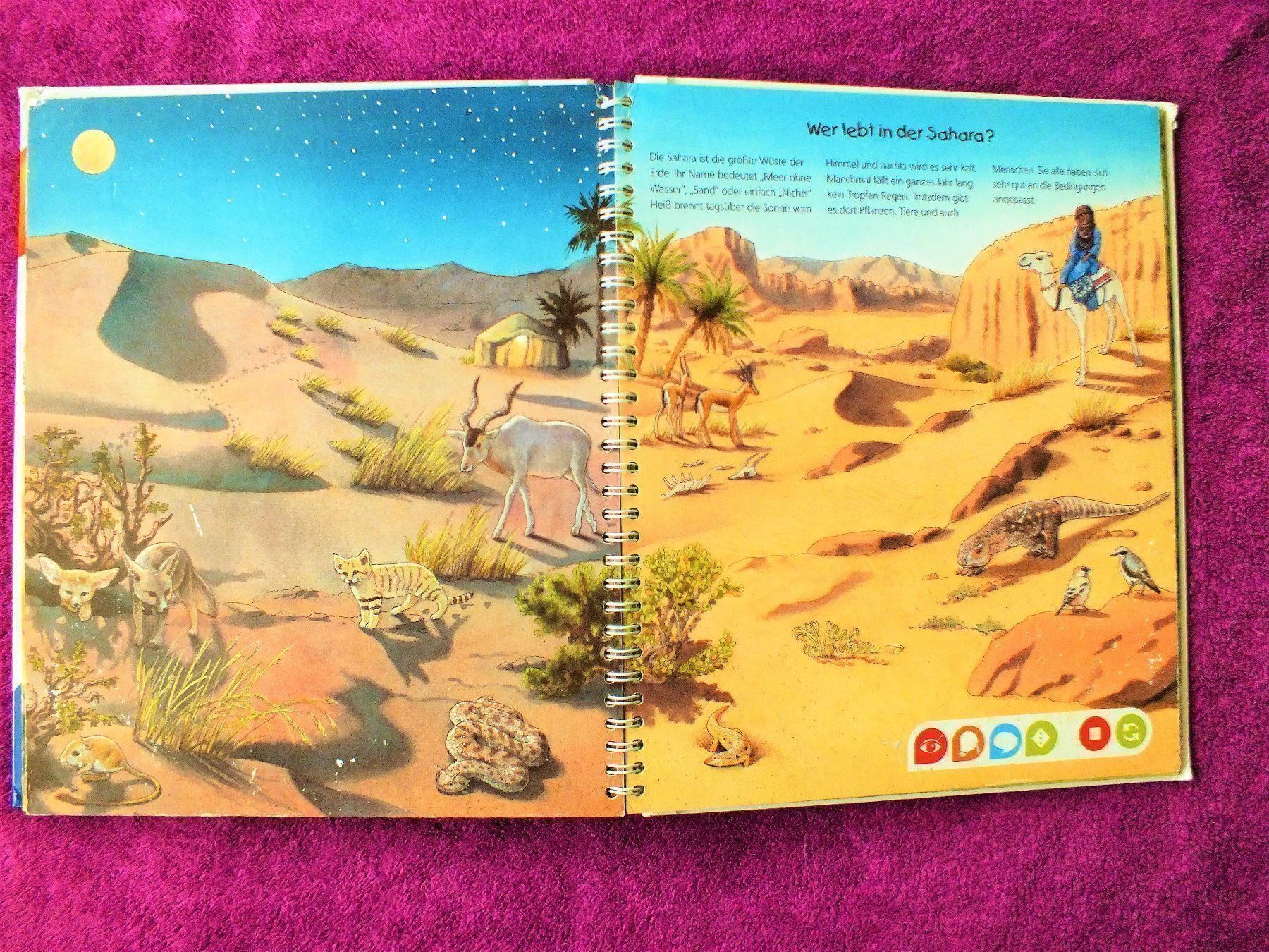 Libri: tiptoi Buch - Endecke die Tiere Afrikas – Usato da Müllheim Dorf venduto da Seeeule01 6