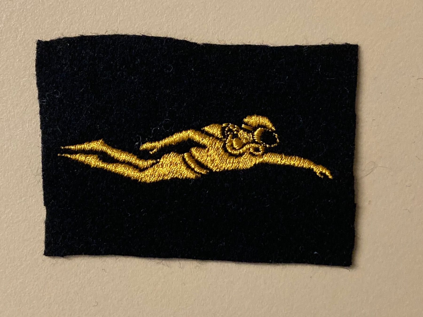 Schweizer Armee Plaketten & Abzeichen: Spezialistenabzeichen: Kampfschwimmer A61 - Schweizer Armee – Neu (gemäss Beschreibung) aus Brütten von Hst1