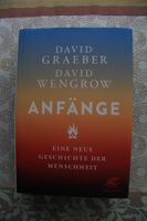 Davis Wegerow Anfänge