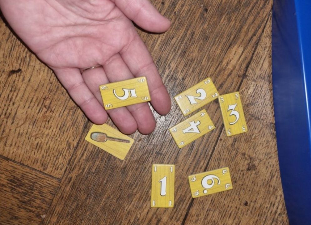 Giochi: Jeu de société Niagara de Gigamic – Usato da Fribourg venduto da jarmilka 6