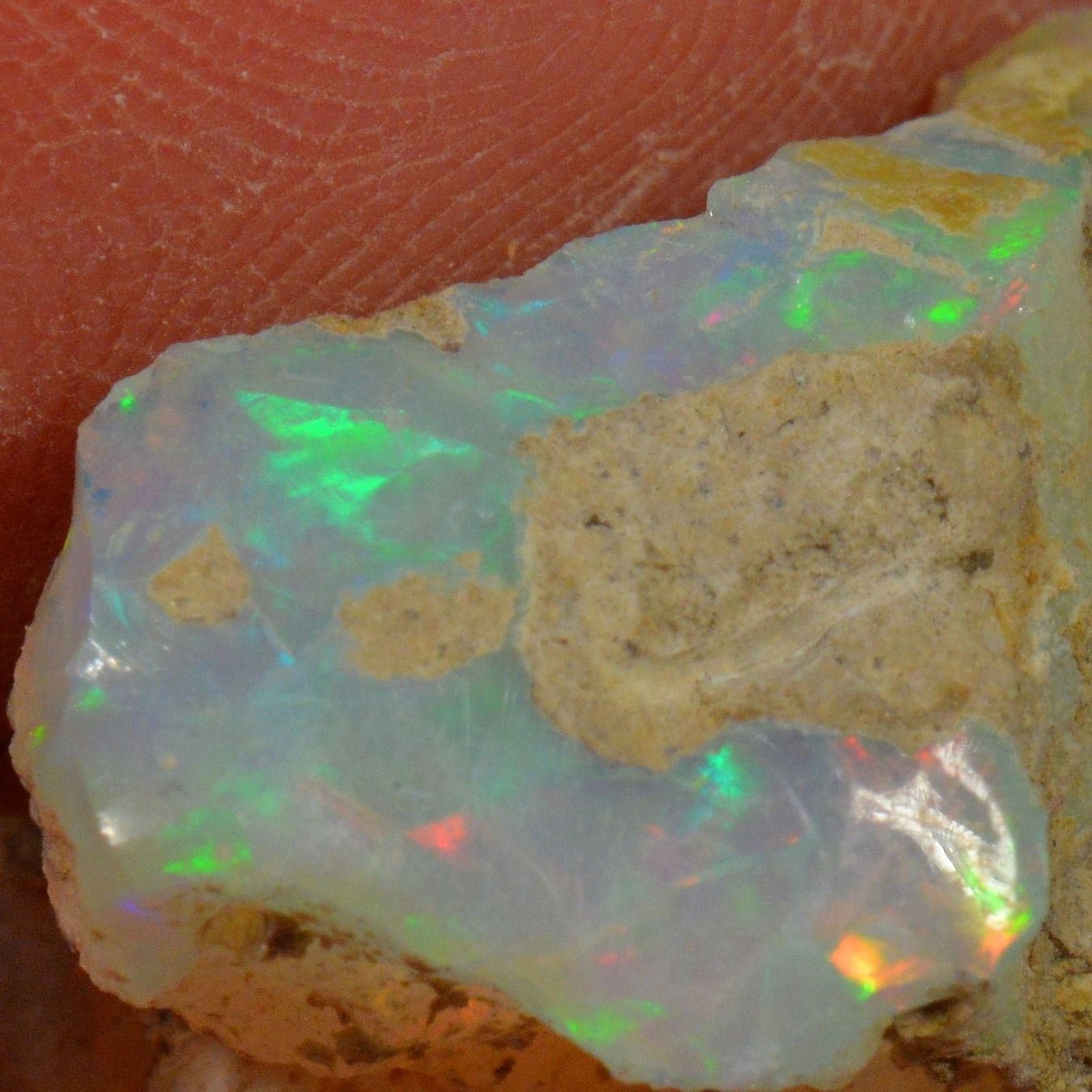 Pietre preziose: 22.6 Karat - Roher Äthiopischer Welo Opal – Nuovo (secondo la descrizione) da Rüti ZH venduto da DeinOpal 1