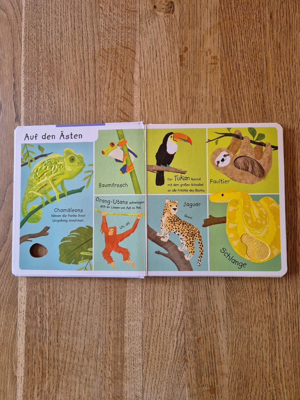 Libri: Bilderbuch Kinder – Usato da Valens venduto da Limaj 1