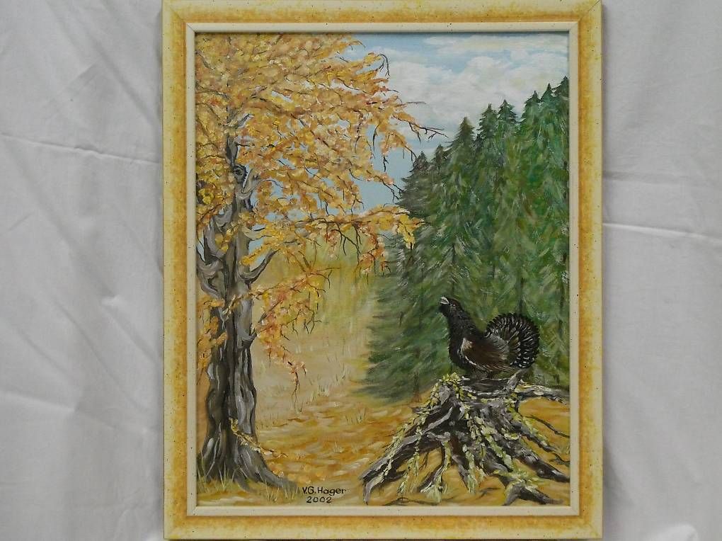 Dipinti: Acrylbild Auerhahn in Herbstlandschaft – Usato da Uznach venduto da gartenri
