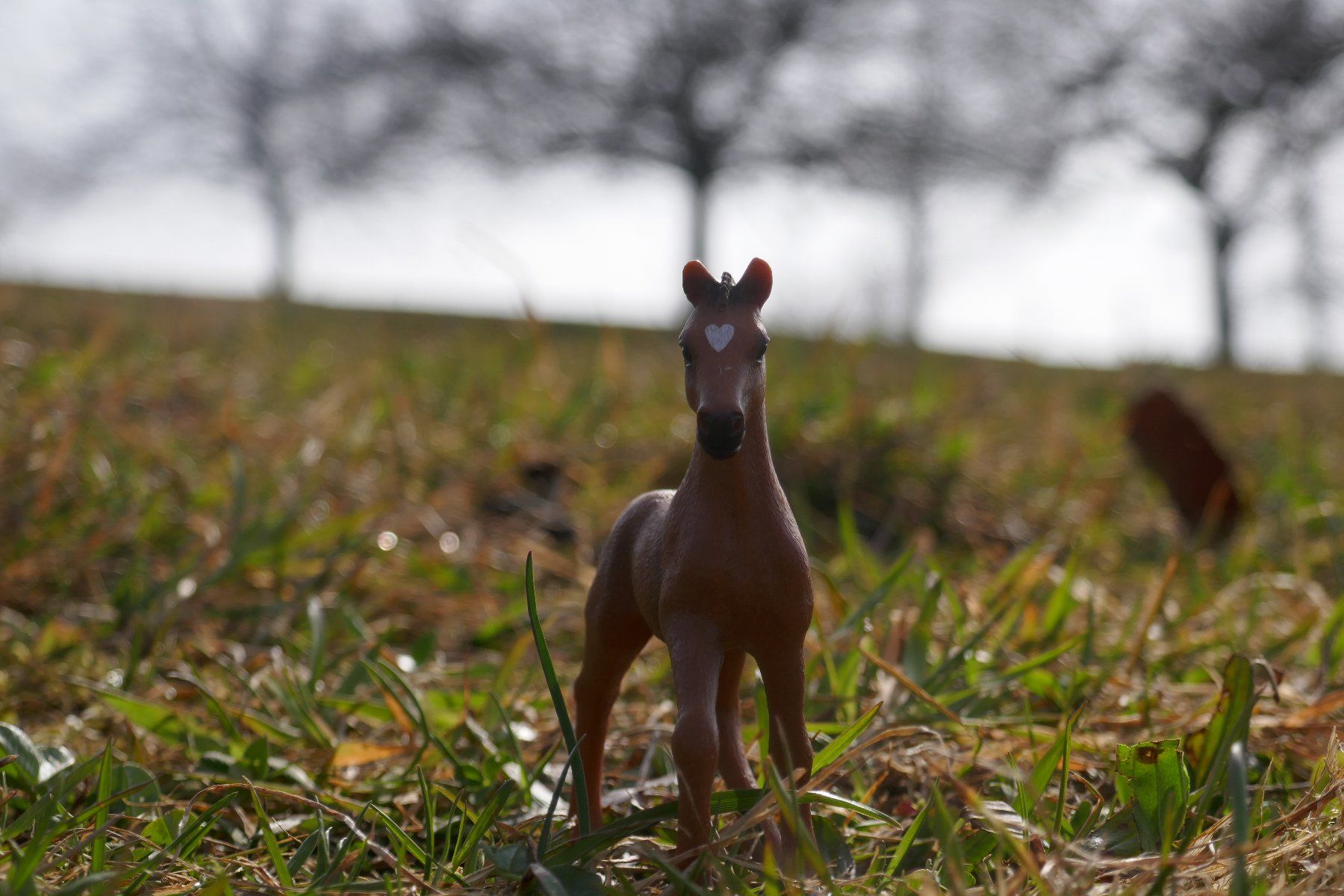 Schleich Giocattoli: Schleich Tierkinder – Usato da Wald ZH venduto da ra_wo 4