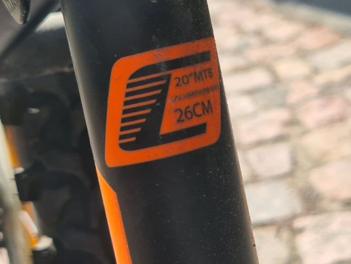 Biciclette: Kindervelo, Velo, MTB – Usato da Arni AG venduto da tubi99 2