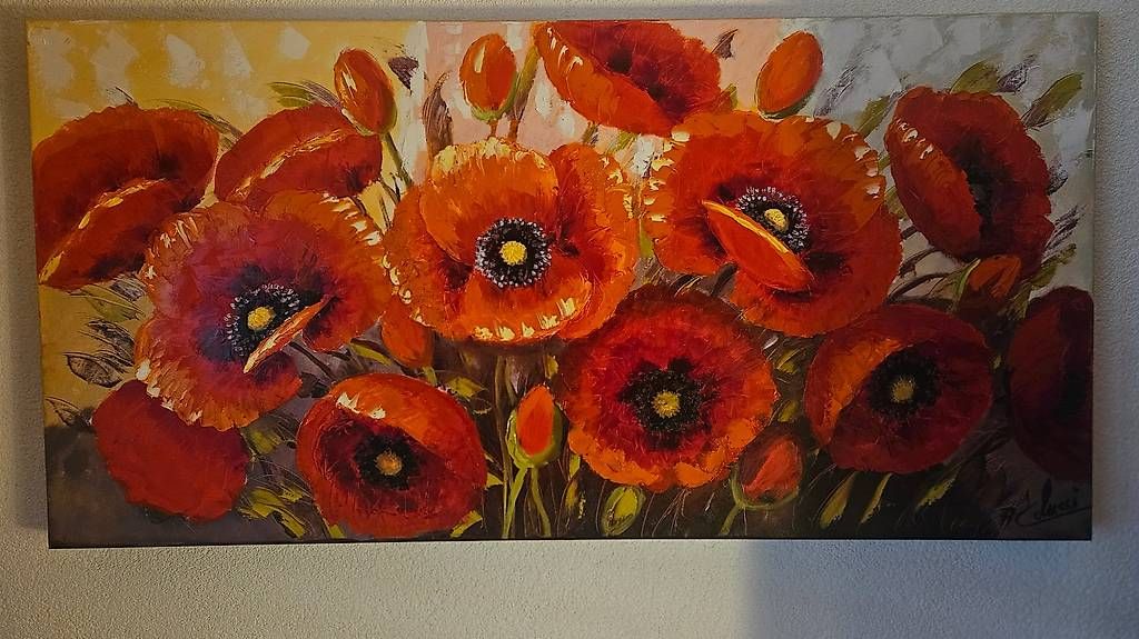 Posters & Illustrations: Mohnblume Bild – D'occasion à Ormalingen par nalanala