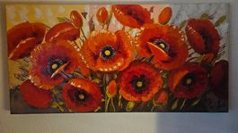 Mohnblume Bild