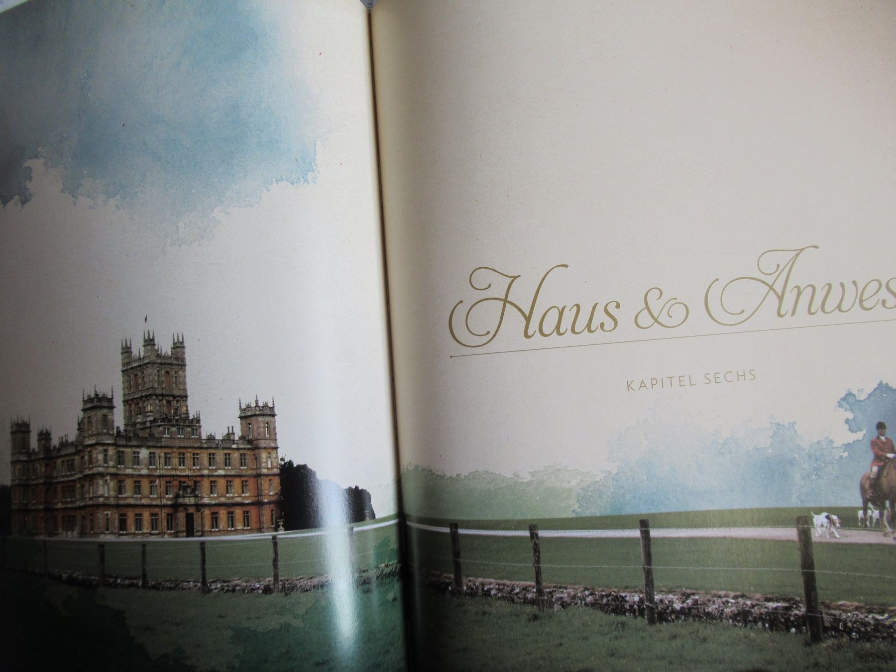 Libri: DOWNTON ABBEY – Usato da Moosseedorf venduto da haro01 9