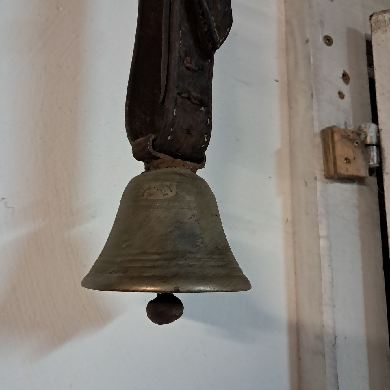Campanacci mucche: Sehr Altes Glöggli  – Usato da Murten venduto da SHETHOF 1