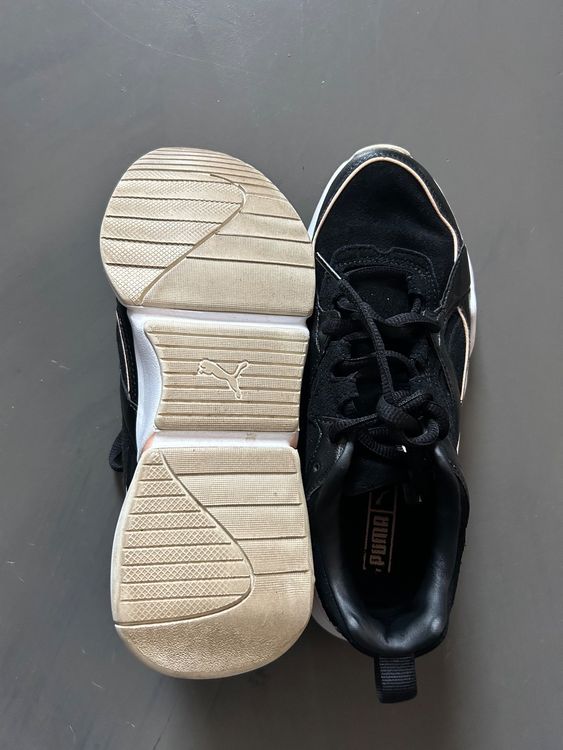 Puma camoscio sales