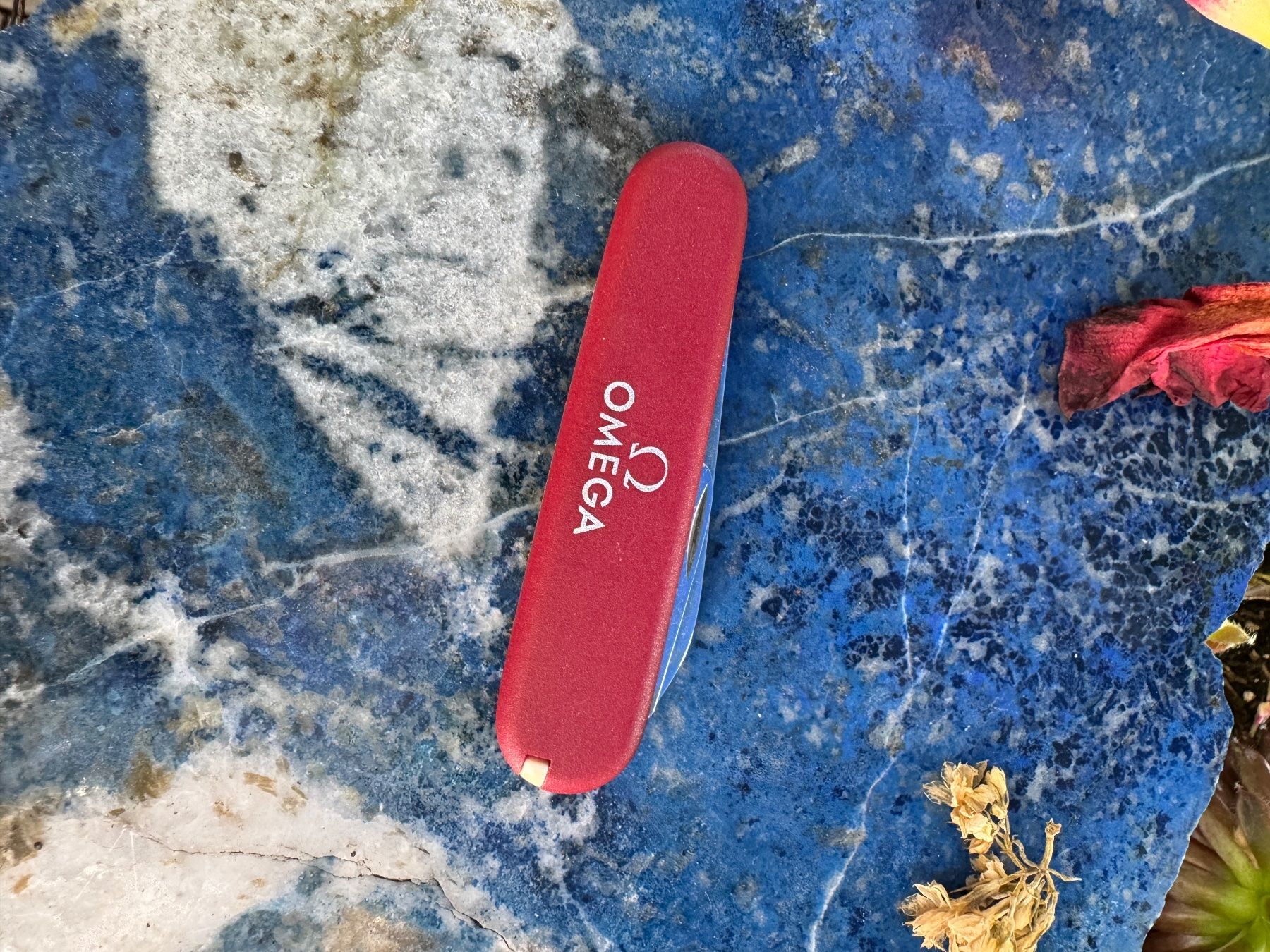 Victorinox Coltellini militari: Omega Schalenmesser Victorinox – Usato da Ipsach venduto da Besos 4