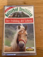 Kassette - Reiterhof Dreililien (3)