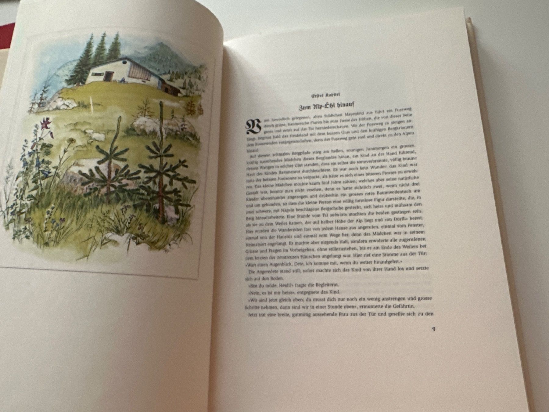 Libri: Heidi I&II Bücher Set, Silva Verlag – Usato da Schwarzenburg venduto da mezulienka 3