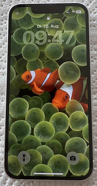 Telefoni cellulari / Smartphones: iPhone 13 Mini - wie neu – Usato da Gachnang venduto da Ursa30