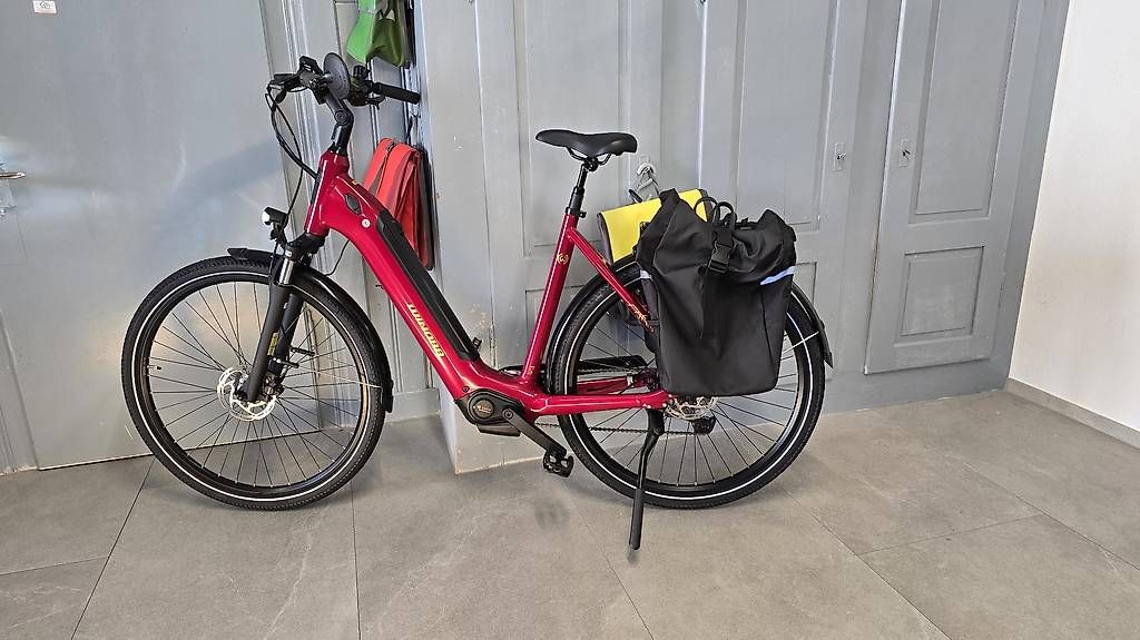 Velos: E-Bike Neuwertig  – Gebraucht aus Bronschhofen von Timi.g