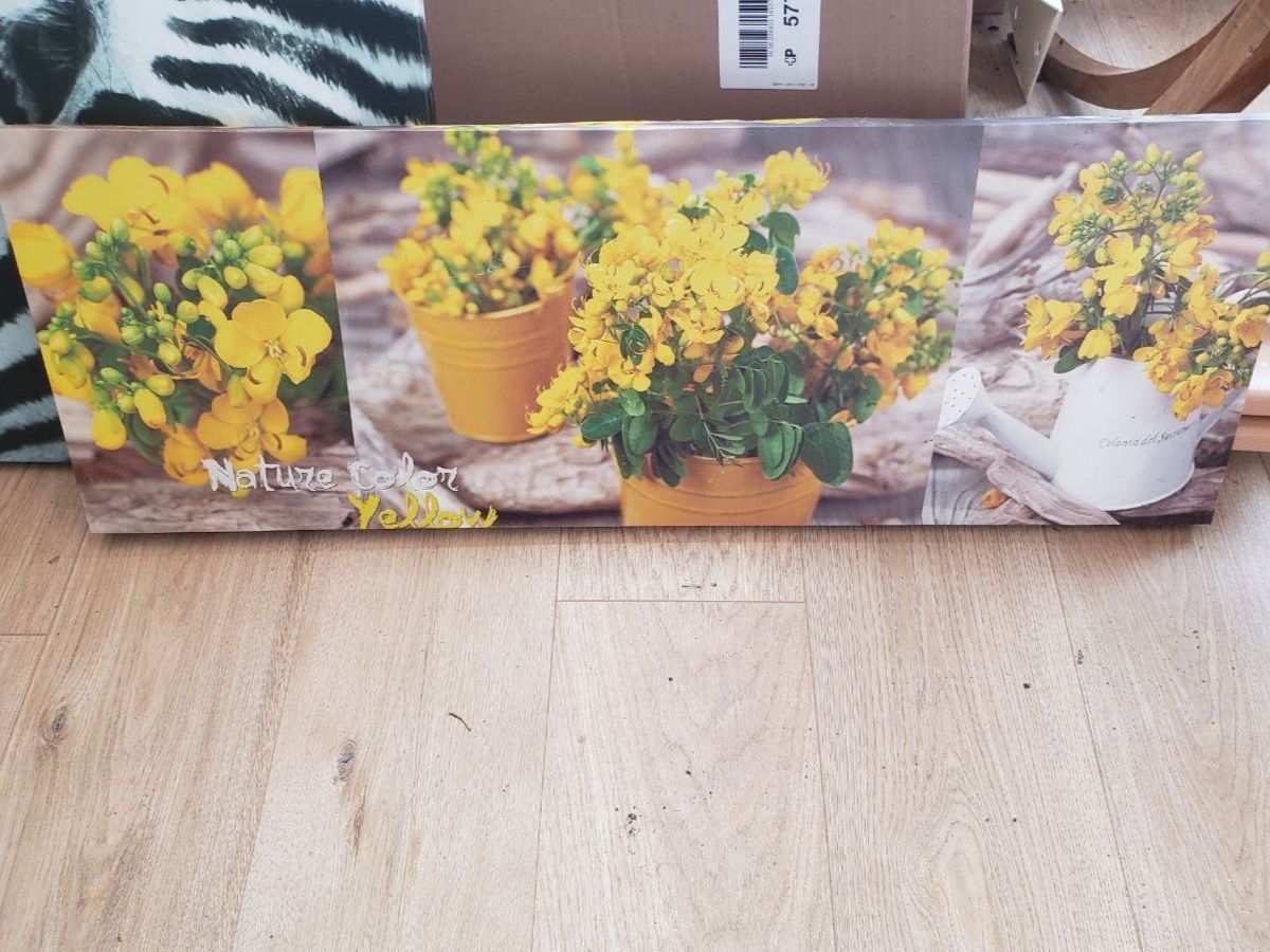 Foto & Immagini: 3er Leinwandbild "Nature Color Yellows" – Usato da Utzigen venduto da Walkuere94