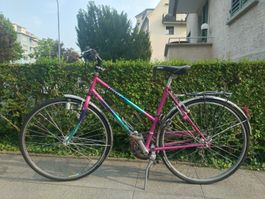 Velo Allegro