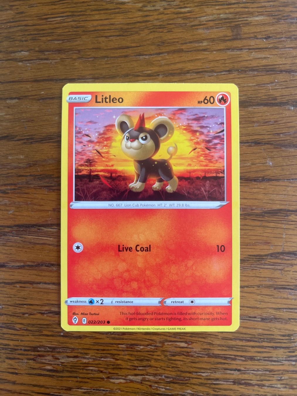 Pokémon Carte collezionabili: Carte Pokemon Litleo - Evolving Skies - EN – Usato da Vernayaz venduto da Darkfrost