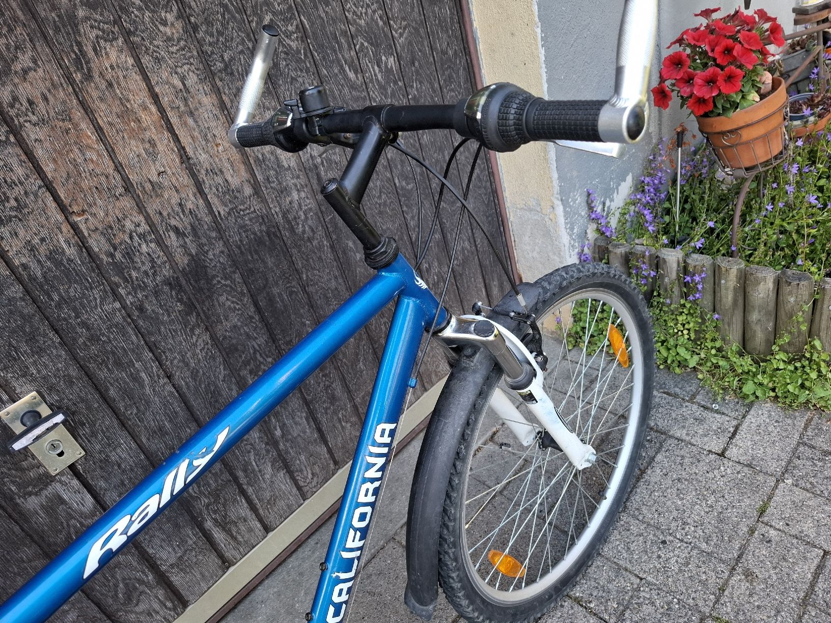 Biciclette: Mountainbike  – Usato da Balterswil venduto da schnecke89 3
