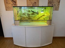 Terrarium mit Möbel und komplettem Zubehör
