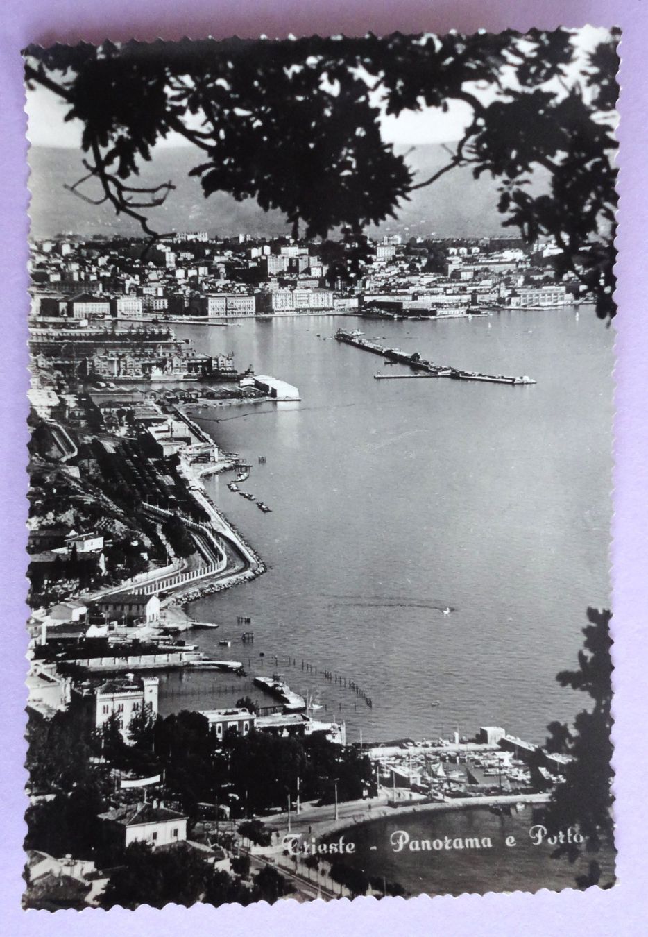 Cartoline postali: Trieste - Panorama e Porto – Usato da Fétigny venduto da Billy2miny